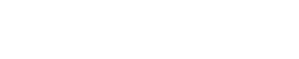 TritonWear.Logo.Horizontal.white-white text